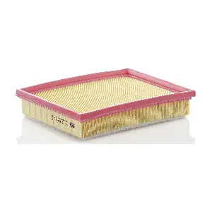 MANN-FILTER C2256/2