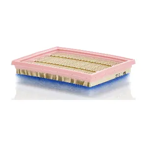 MANN-FILTER C 22 007