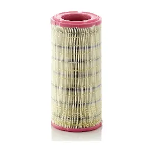 MANN-FILTER C19460/2