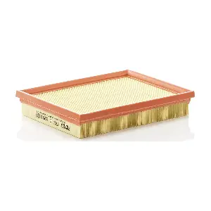 MANN-FILTER C2256