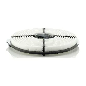 MANN-FILTER C 2619