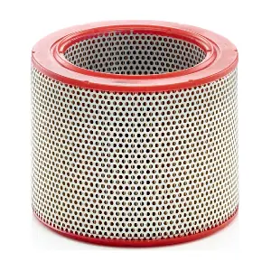 MANN-FILTER C21138/1