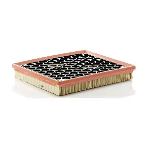 MANN-FILTER C29145