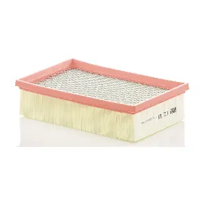 C 25 021 MANN-FILTER