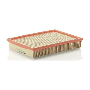 MANN-FILTER C29122/1