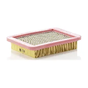 MANN-FILTER C2368