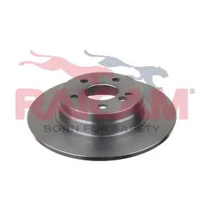 RD01074 RAICAM