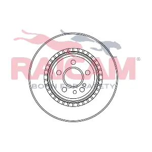 RD00495 RAICAM