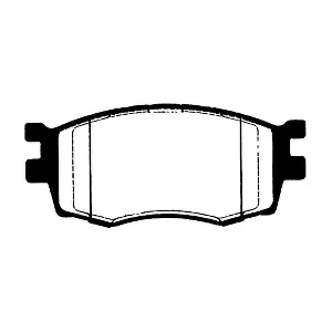 RA09741 RAICAM