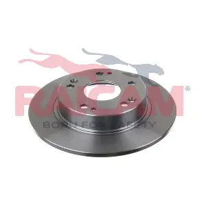 RD00309 RAICAM