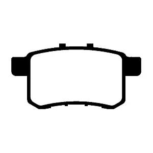 RA09820 RAICAM
