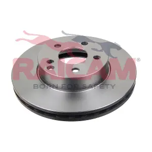 RD01073 RAICAM