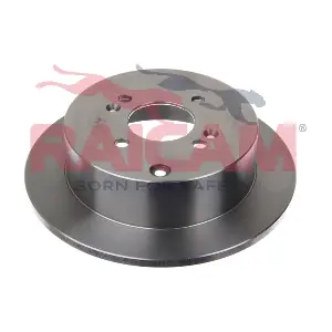 RD00534 RAICAM
