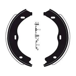 RA30981 RAICAM