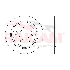 RD01598 RAICAM