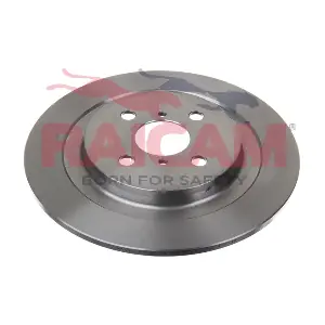 RD01091 RAICAM