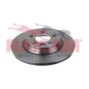 RD00261 RAICAM