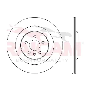 RD01517 RAICAM