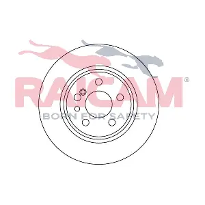 RD00448 RAICAM