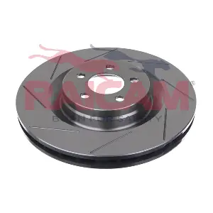 RD01487 RAICAM