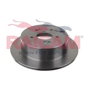 RD00536 RAICAM