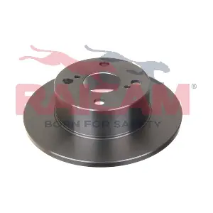 RD00843 RAICAM