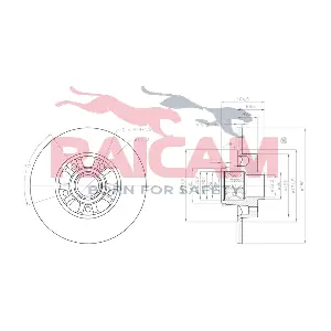 RAICAM RD01489