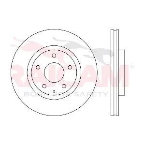 RD01616 RAICAM