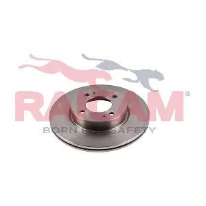 RD01256 RAICAM