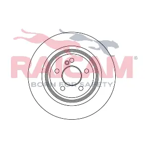 RD00494 RAICAM