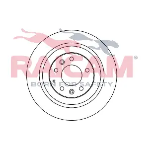RD00419 RAICAM