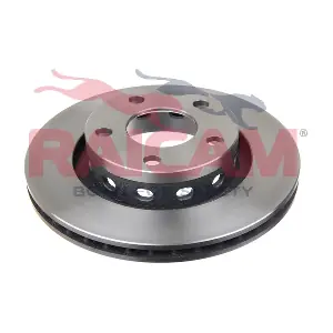 RD01290 RAICAM