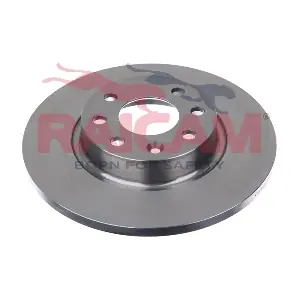 RD00935 RAICAM