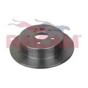RD00818 RAICAM
