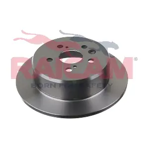 RD01259 RAICAM