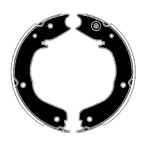 RA29480 RAICAM