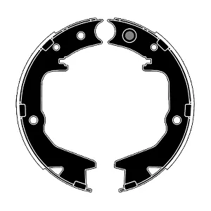 RA29820 RAICAM