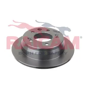 RD00565 RAICAM