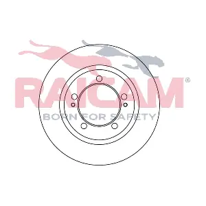 RD00353 RAICAM