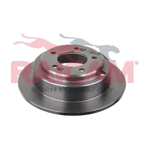 RD01294 RAICAM