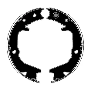 RA29130 RAICAM