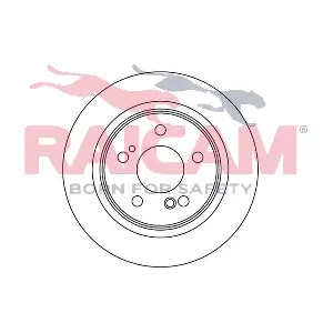 RD00439 RAICAM