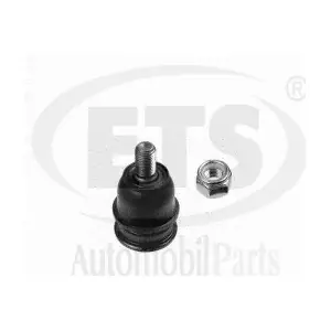 24697 ZF