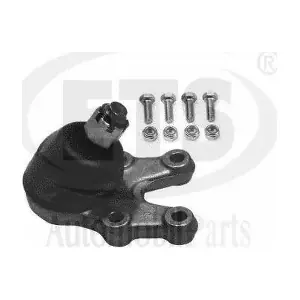 11873 ZF