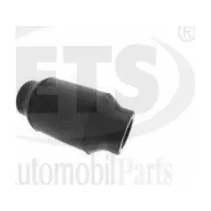 06.SB.540 ETS