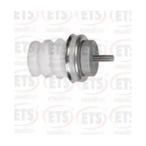 9109939 RENAULT