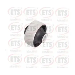 31.SB.038 ETS