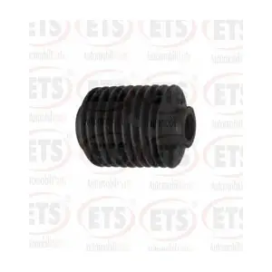 31.SK.334 ETS
