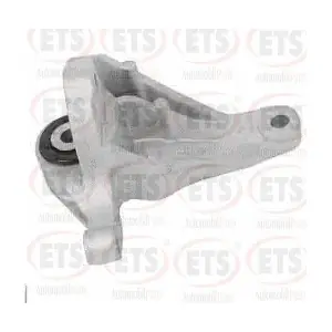 ETS 06TM110