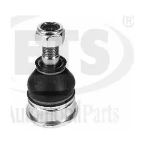 11865 ZF